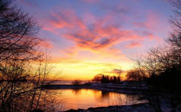 我祥子读后感500字参考6篇