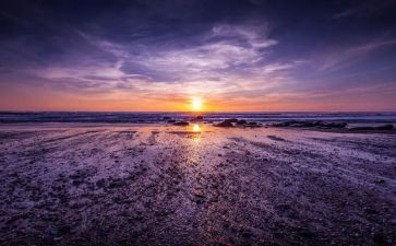 我祥子读后感500字8篇