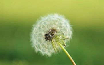 我祥子读后感八百字5篇