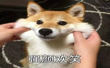 《笑》作文400字优秀作文8篇