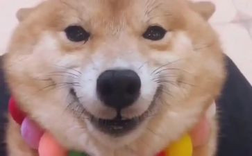 成功的笑作文600字参考8篇