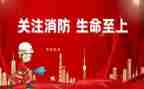 消防的心得体会300字8篇