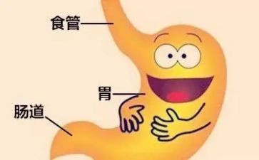 消化内科心得体会7篇