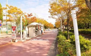 申请校内奖学金申请书模板7篇