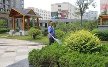 小区物业公司年终总结范文7篇