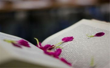 小说读后感400字6篇