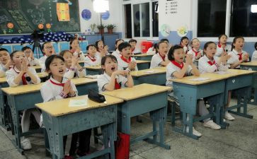 小学写调查报告优秀8篇