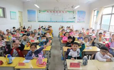 小学教活动心得体会参考7篇