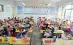 小学体育个人年度工作总结7篇