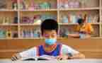 2024年小学数学教师述职报告6篇