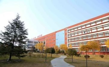 关于校园贷的心得体会800优质8篇