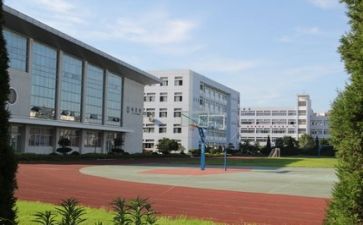 校园活动的心得体会优秀6篇