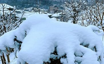 幼儿小班下雪啦教案7篇