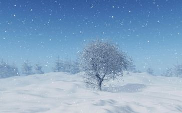 作文下雪了400字5篇