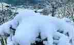 幼儿小班下雪啦教案7篇
