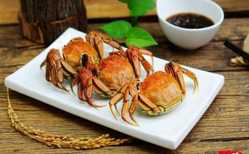 吃螃蟹教案优质7篇