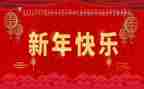 新的一年作文6篇