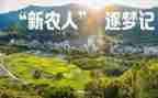 2024年新农村建设工作总结6篇