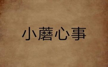 我的小心事作文模板6篇