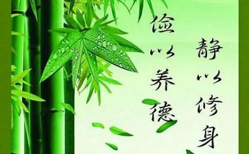 强党性、严修身心得体会5篇