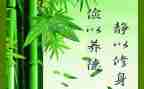 强党性、严修身心得体会5篇