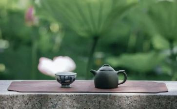道德修养的心得体会8篇