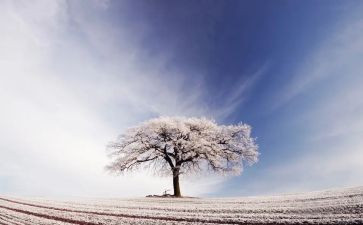 社区除雪汇报材料7篇