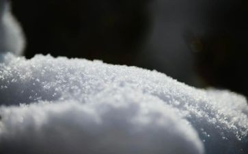 雪宝宝教案推荐5篇