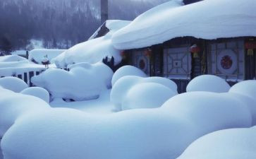 大雪的作文7篇