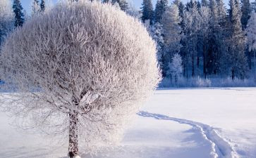雪活动教案推荐7篇