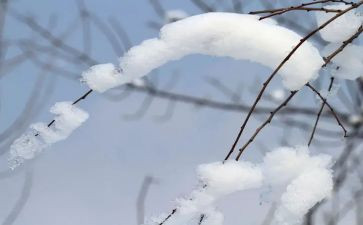 雪我来了作文优秀6篇