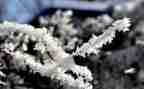 雪宝宝教案最新6篇