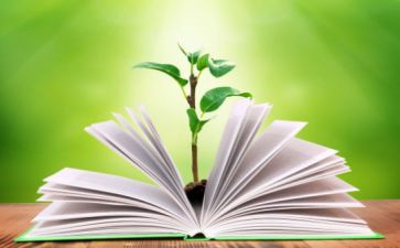 一年级语文线上教学工作总结7篇