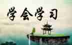 小学会计工作总结个人总结5篇