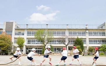 暑假班学生心得体会最新7篇