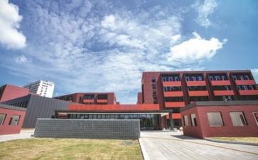 学校个人述职报告范文最新5篇