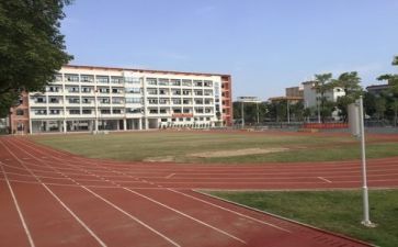 学校开展活动工作总结7篇