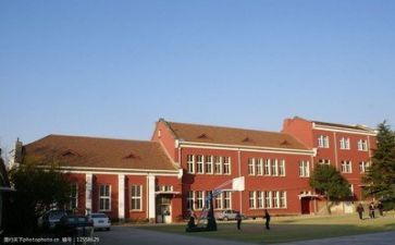学校校长培训工作总结6篇