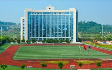 学校教生活官工作总结7篇