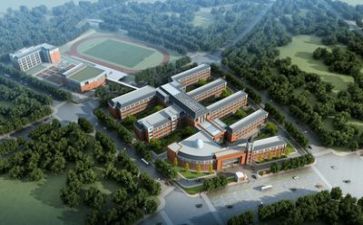 学校教师自我鉴定精选5篇
