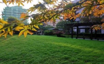 距学校远申请书7篇