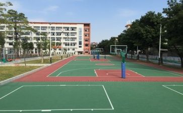 学校的工作报告模板8篇