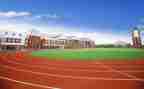 学校创建绿色学校工作总结5篇