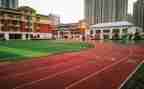 学校和育心得体会通用6篇