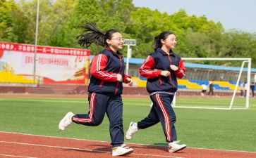 2024学校体育工作总结优质8篇