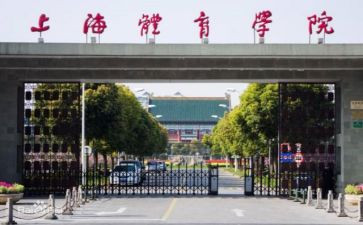 学院年工作报告总结8篇