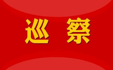 被巡察工作报告5篇