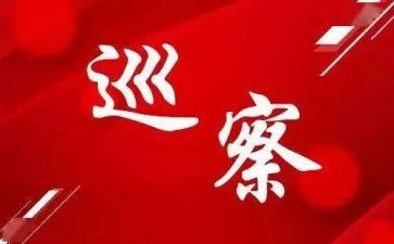 巡察干部巡察工作总结6篇