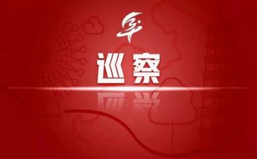 2024年个人巡察工作总结8篇