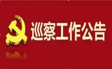 医院党委巡察汇报材料6篇